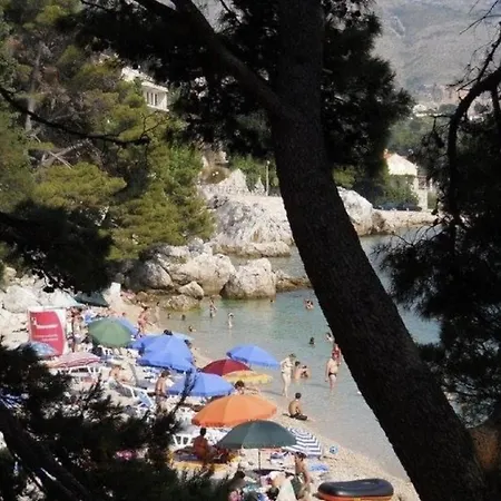 Subrenum * 米利尼