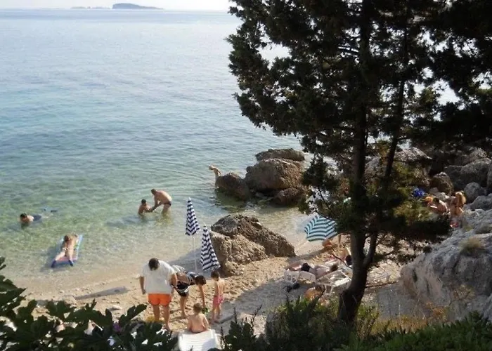 Subrenum * 米利尼